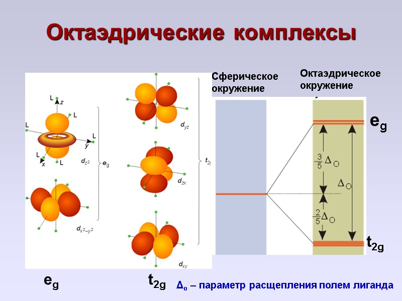 Октаэдрические комплексы Сферическое окружение  Октаэдрическое окружение  eg  eg  t2g 